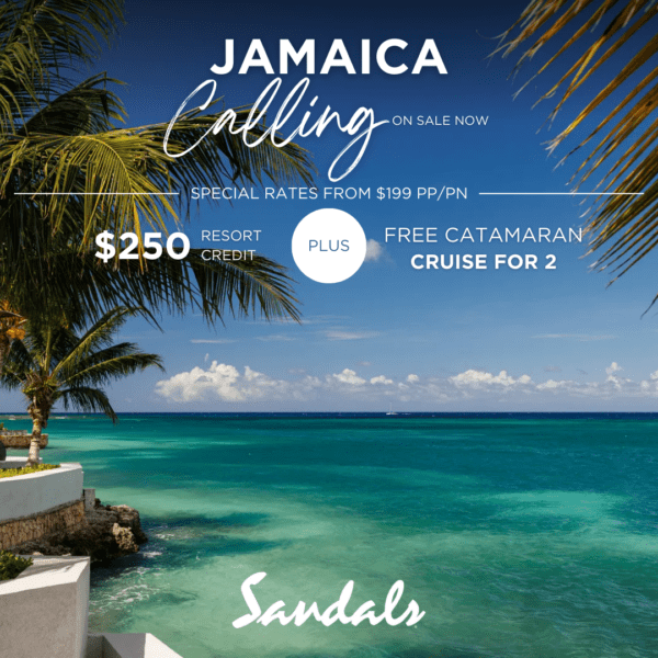 travel agency for cruises